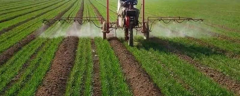 小麦肥料氮磷钾的比例是多少