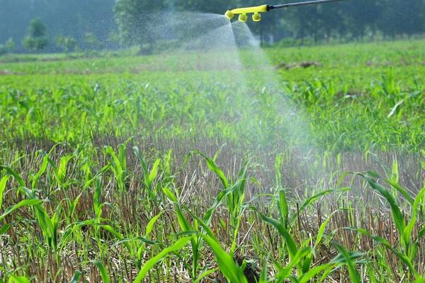 种玉米施肥用什么肥料好