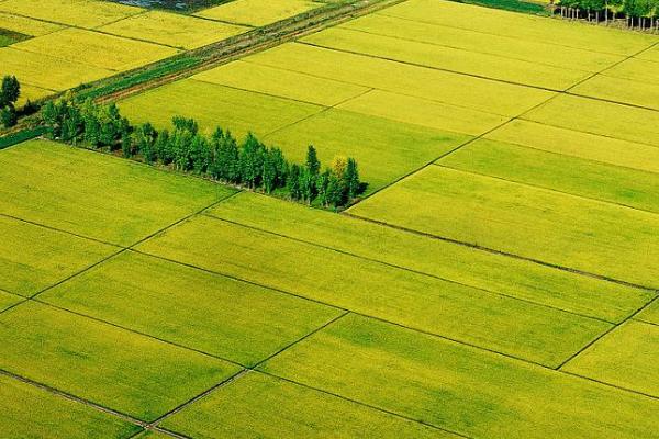 三江平原耕地类型