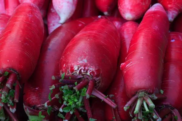 红萝卜几月份种