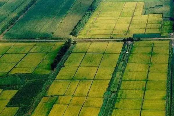 三江平原耕地类型