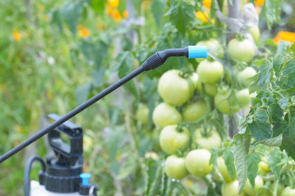 甲维盐可以防治什么害虫,对鳞翅目和双翅目害虫的效果较好