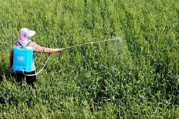 除草剂正确使用方法,选对好天时很关键