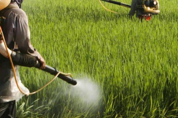 除草剂正确使用方法,选对好天时很关键