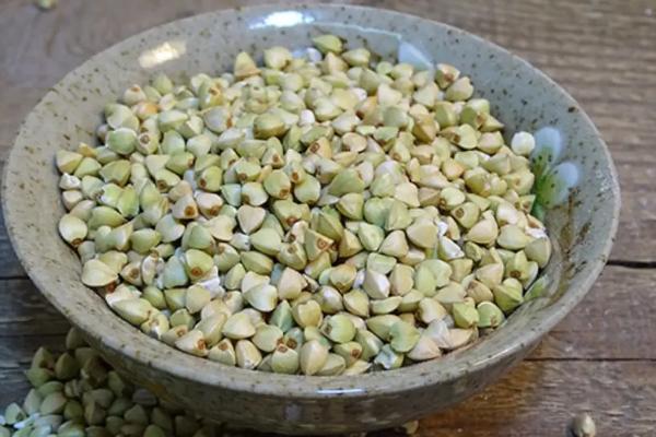 苦荞麦什么时候种植，处暑后可以播种